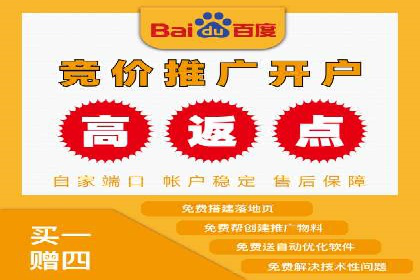 搜索引擎营销（SEM）在本地市场的投放案例